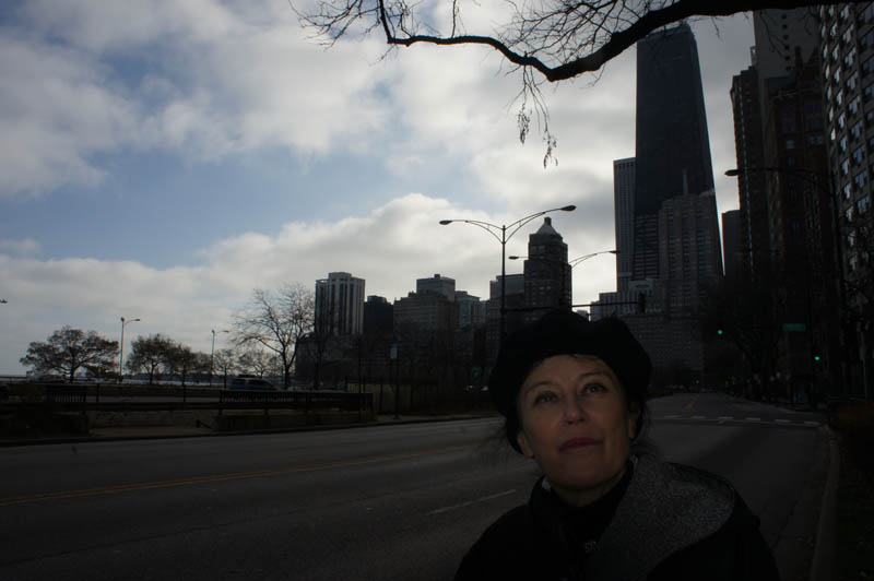 Beauvoir in love - La banlieue de Chicago, le monde de Nelson - Photo 17